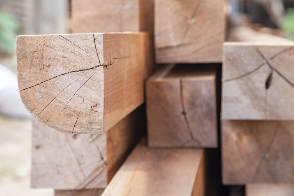 essence de bois